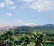 Diversifying in the Galilee